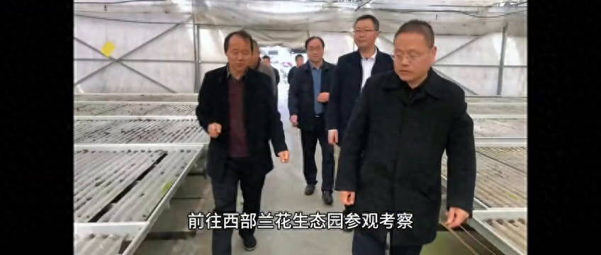 走出去——路海成通去西部兰花生态园参观考察