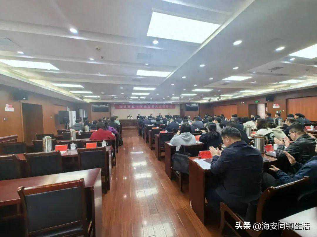 海安市红十字会年度工作报告 聘请市长赵男男为名誉会长……
