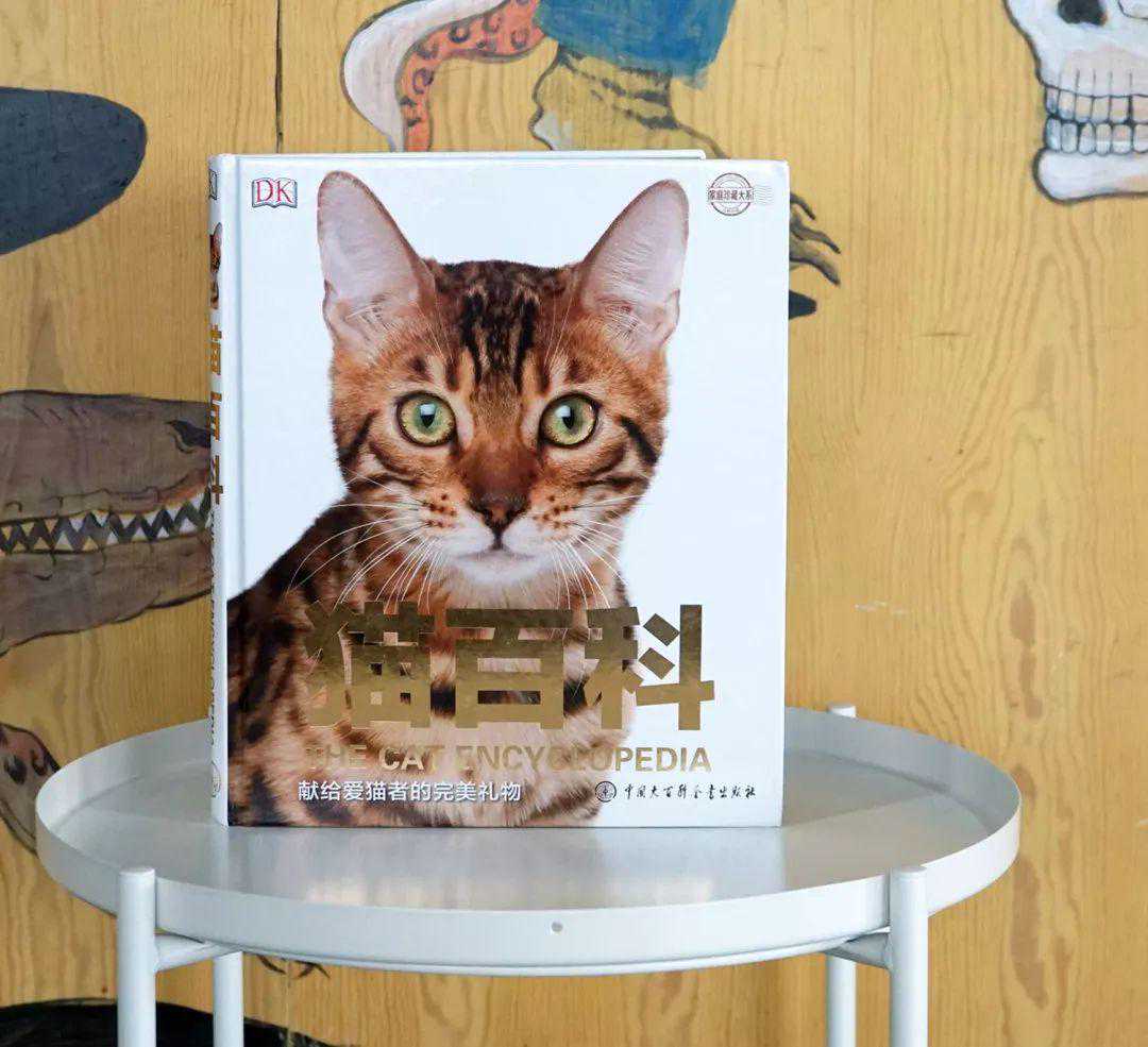 暗访调查：果壳吸猫会所再添130多只靓猫！丨好书推荐