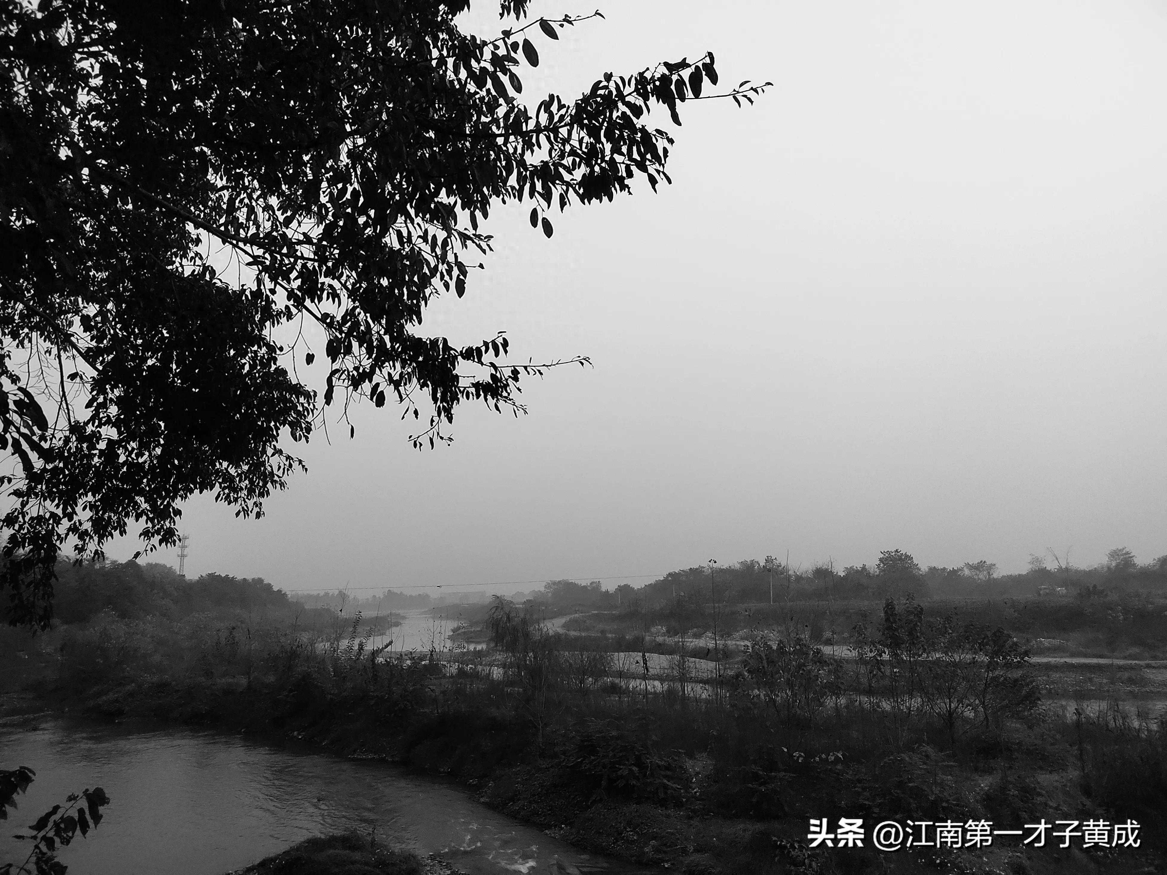 珞珈坠河（完整版）