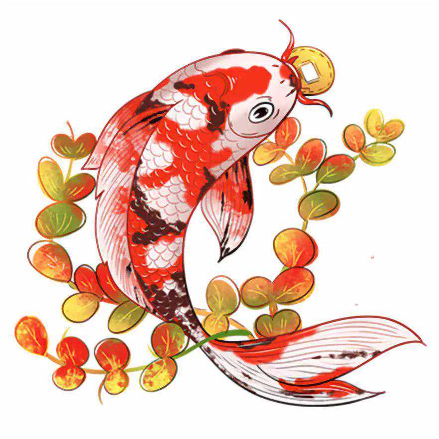 大正三色锦鲤鉴赏标准
