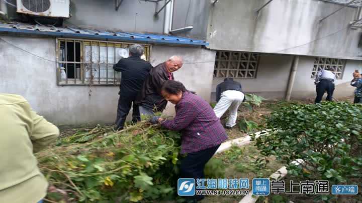 南通北濠桥社区：网格员“下单”社区“理单”环境问题逐一“销号”